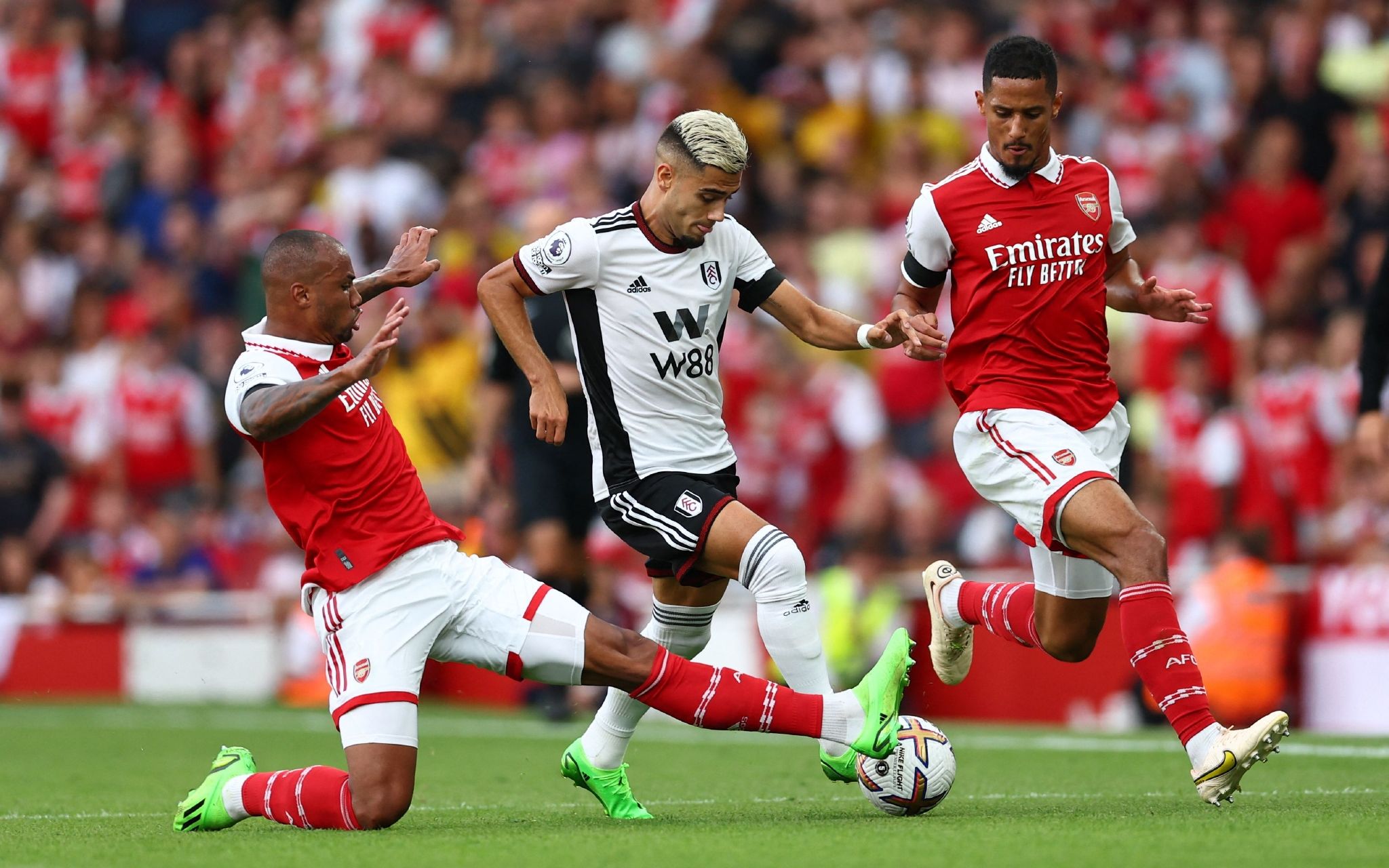 类似的公众 类似的公众